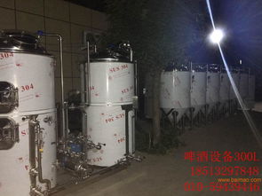 自釀啤酒設(shè)備價(jià)格解析 從入門到生產(chǎn)的全方位指南